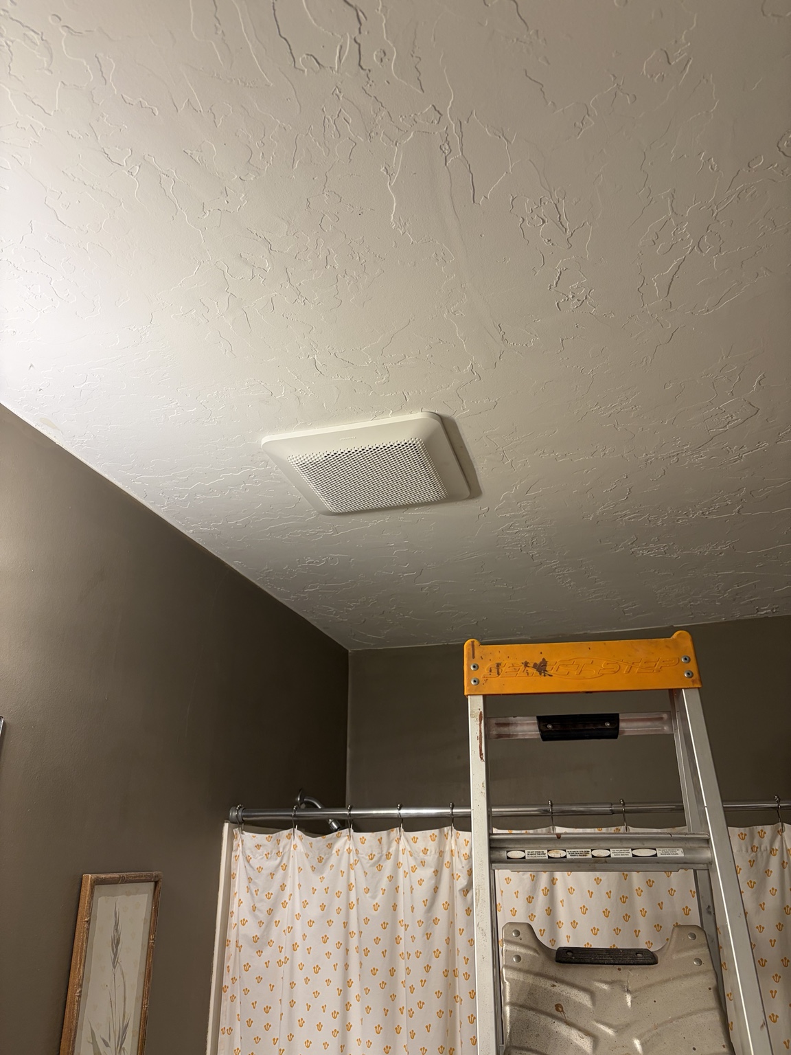 Installed Panasonic bathroom fan with ladder below